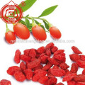 Getrocknete goji Beere 350 Körner ningxia goji Beere